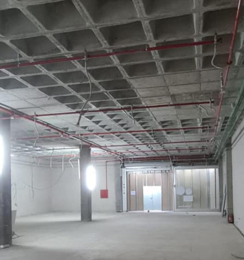 CONCISA ICG (15)